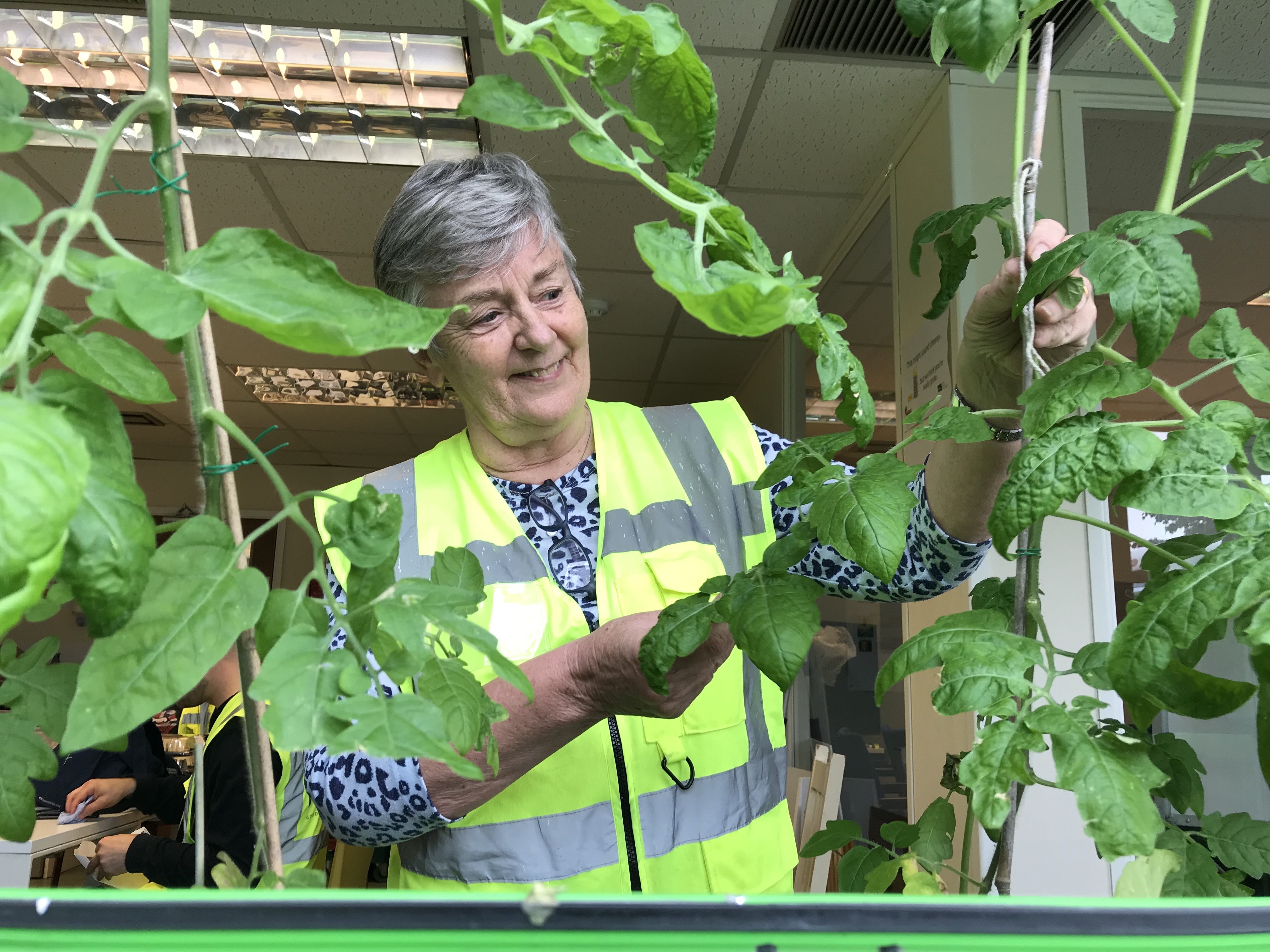 Bernadette gardening club