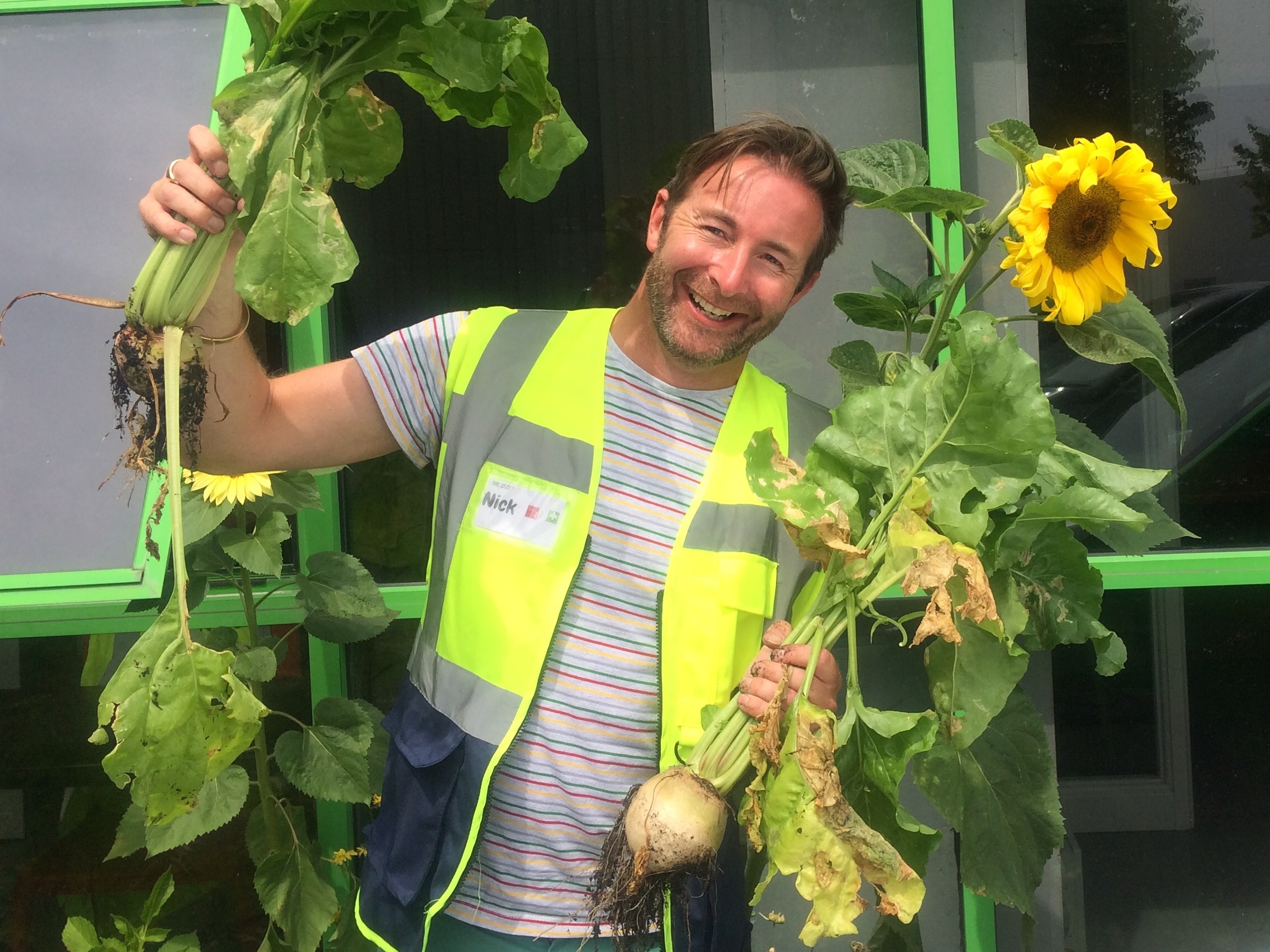 Nick sunflowers