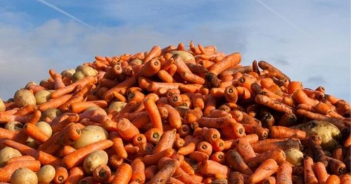 where to donate food london where to donate food london