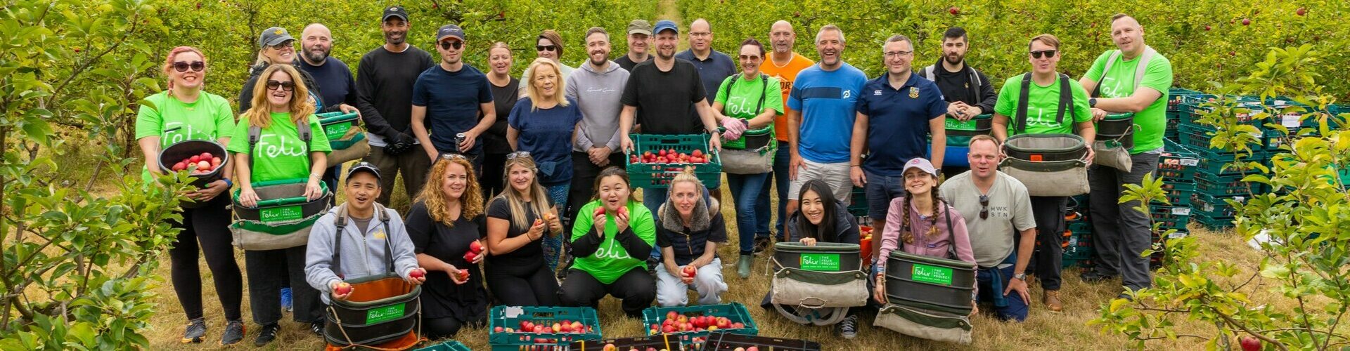 Group of volunteers stood in orchard with crates of picked apples