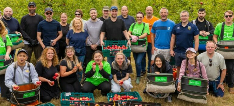 Group of volunteers stood in orchard with crates of picked apples
