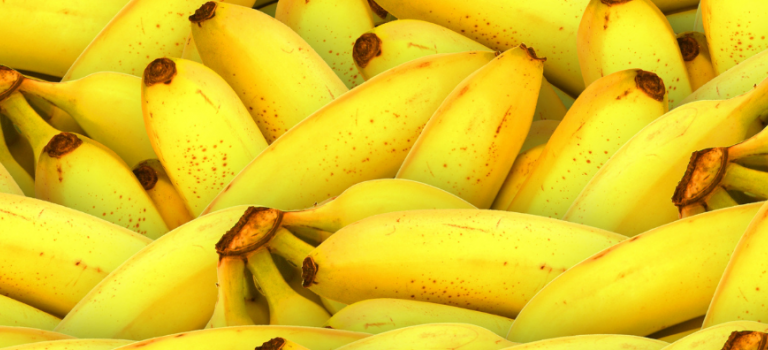 Web banner Bananas