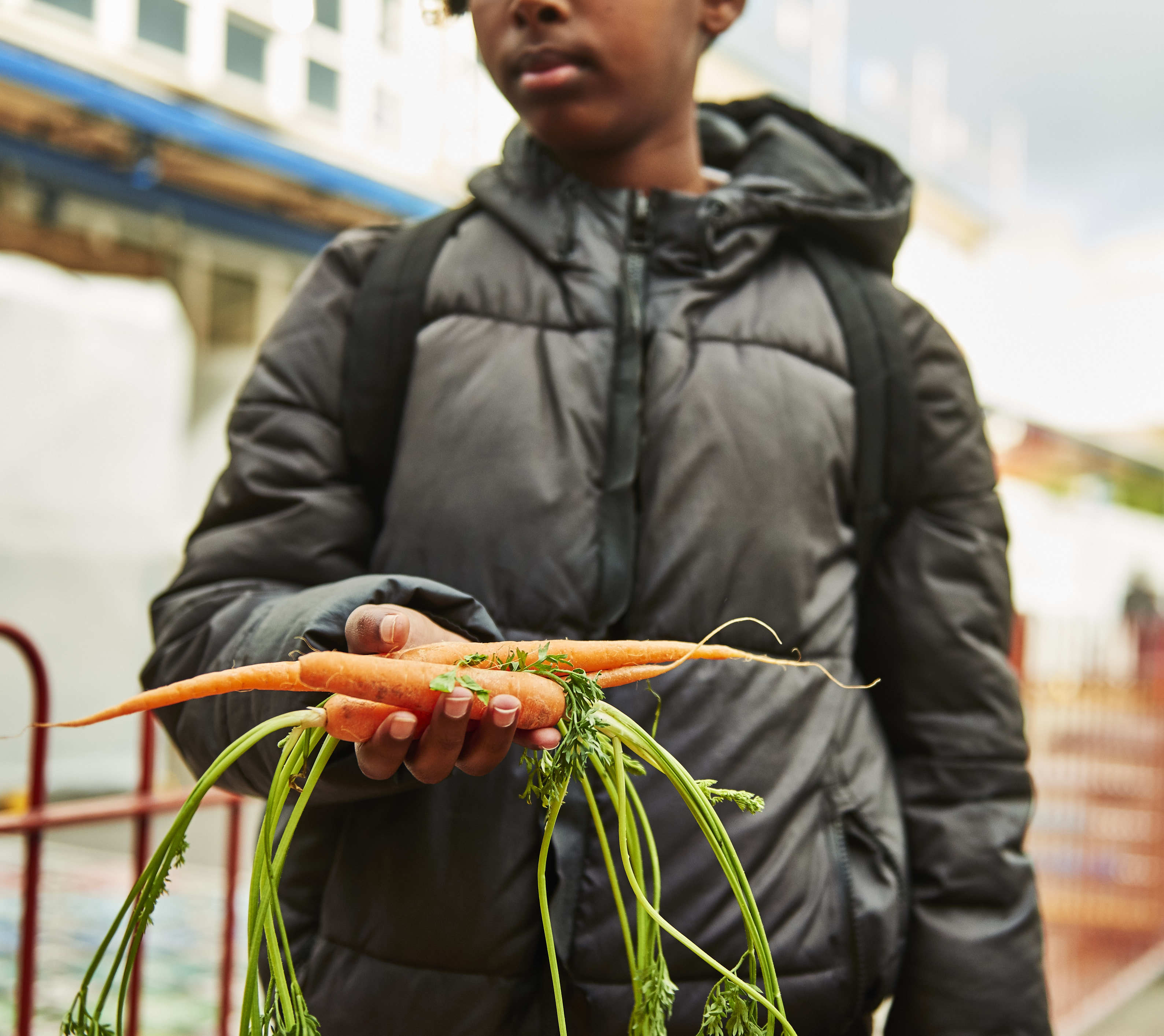 Boy carrots schools