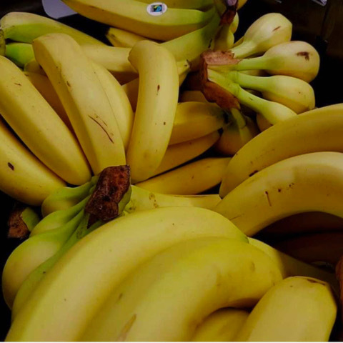 Sam volunteering so many bananas